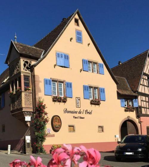 ニーデルモルシュヴィル・Niedermorschwihr-仏語Les Vendangeursアパートメント エクステリア 写真
